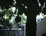 1963 (8mm film) 1964 (8mm film)